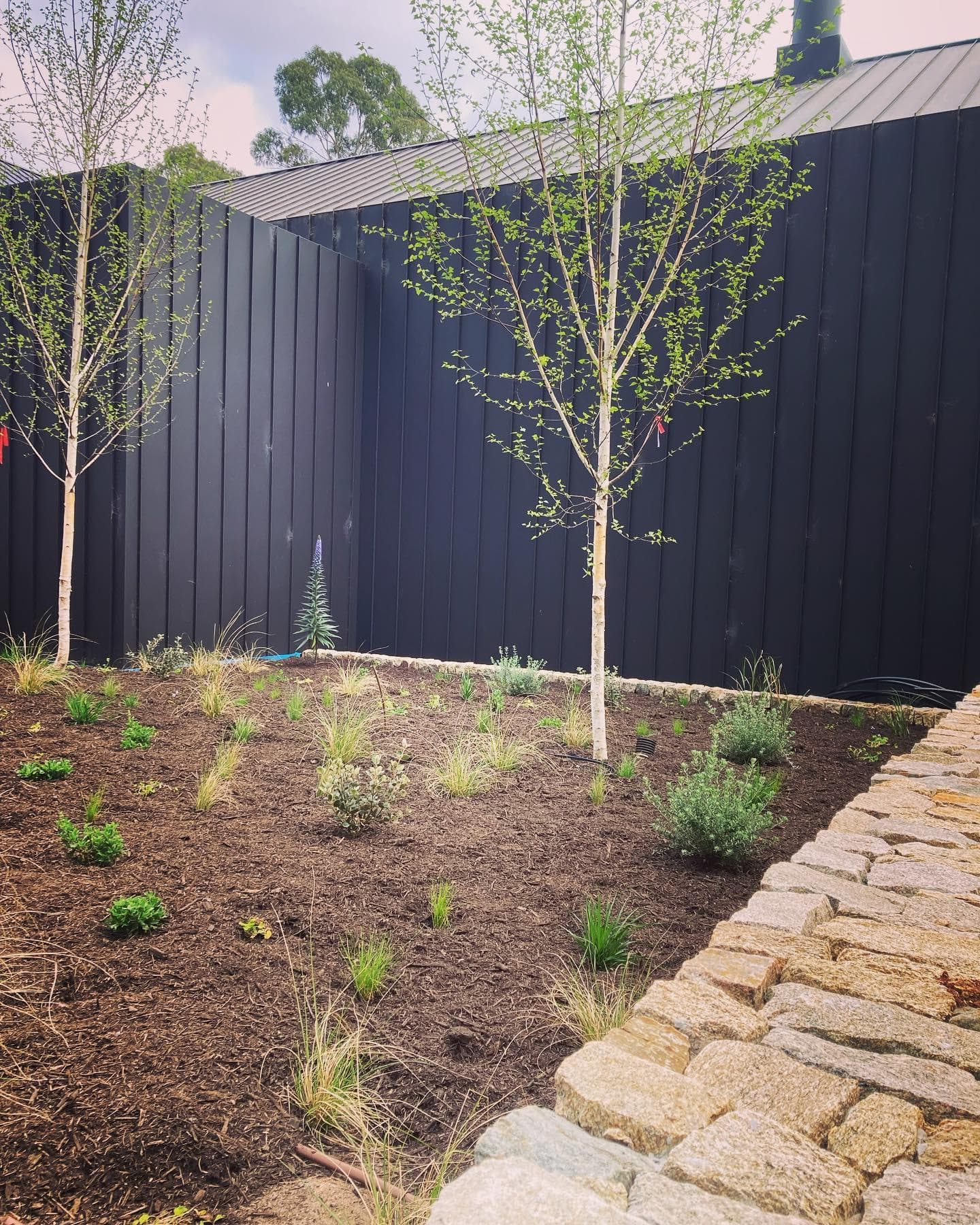 Completed landscaped garden with stone edging and gravel mulch