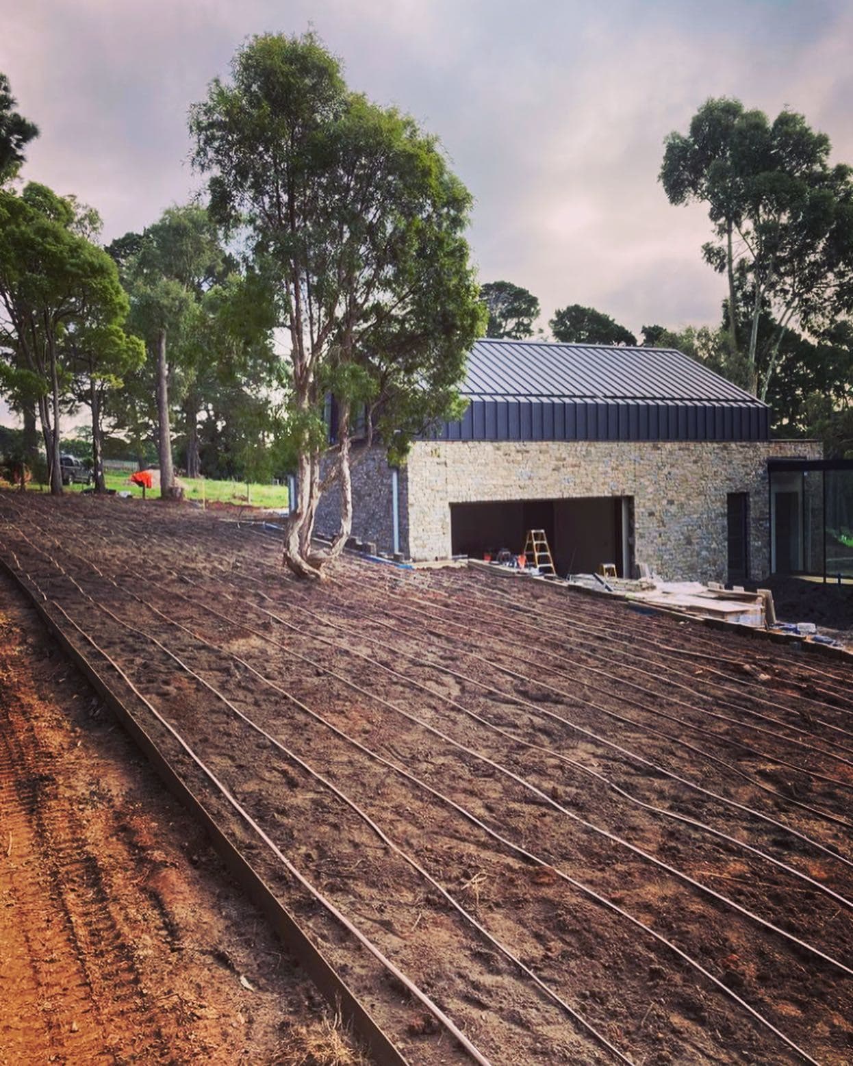 Drip irrigation installed across the sloping garden beside the residence