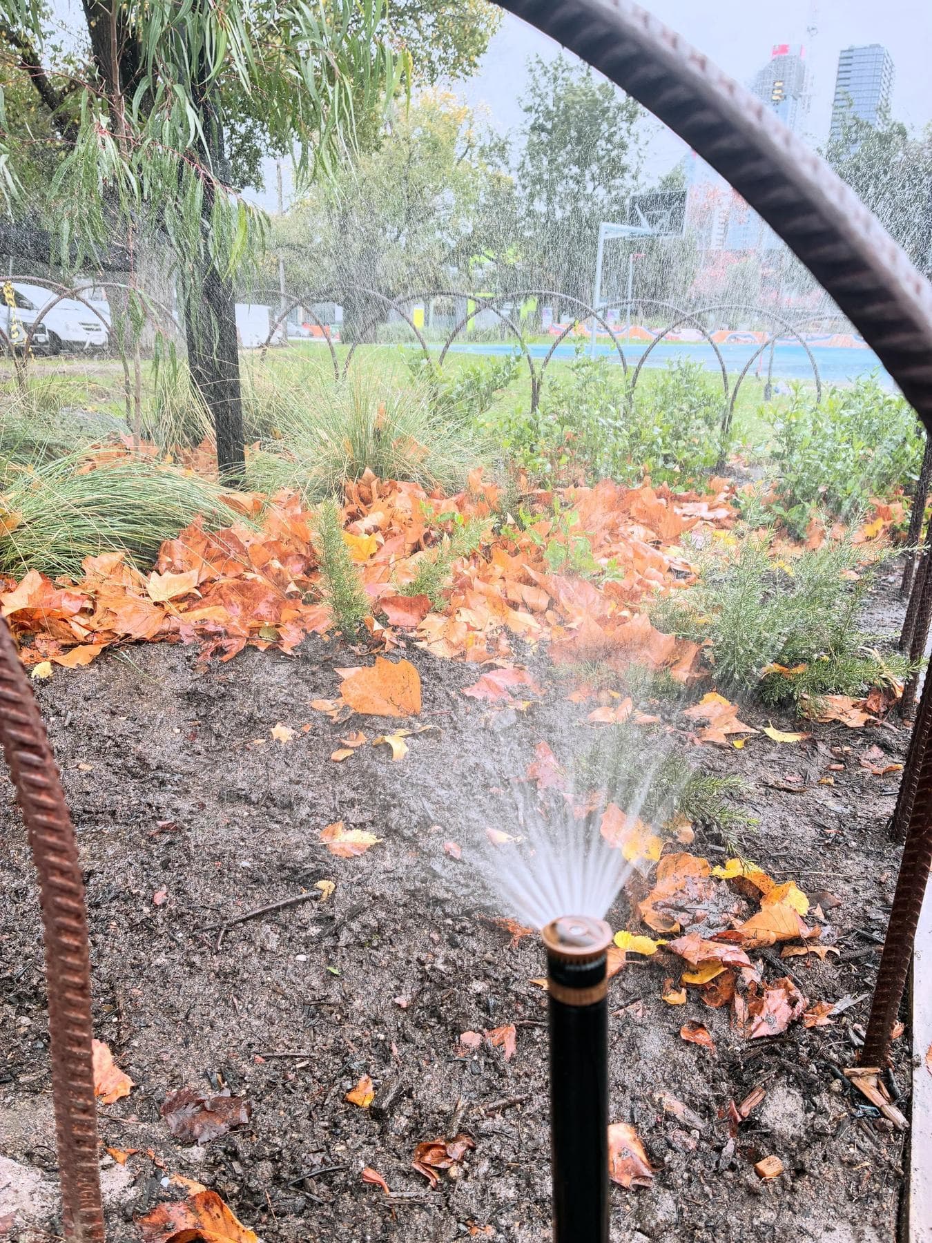 Pop-up spray irrigation operating within a landscaped garden bed