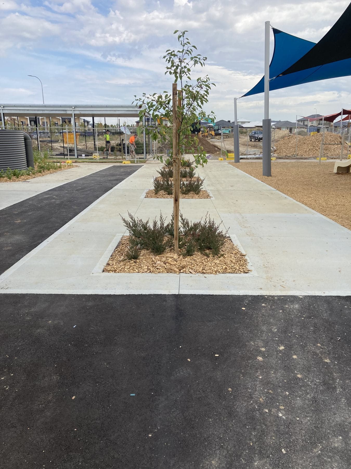 New school pathways, tree planting and outdoor activity areas during construction