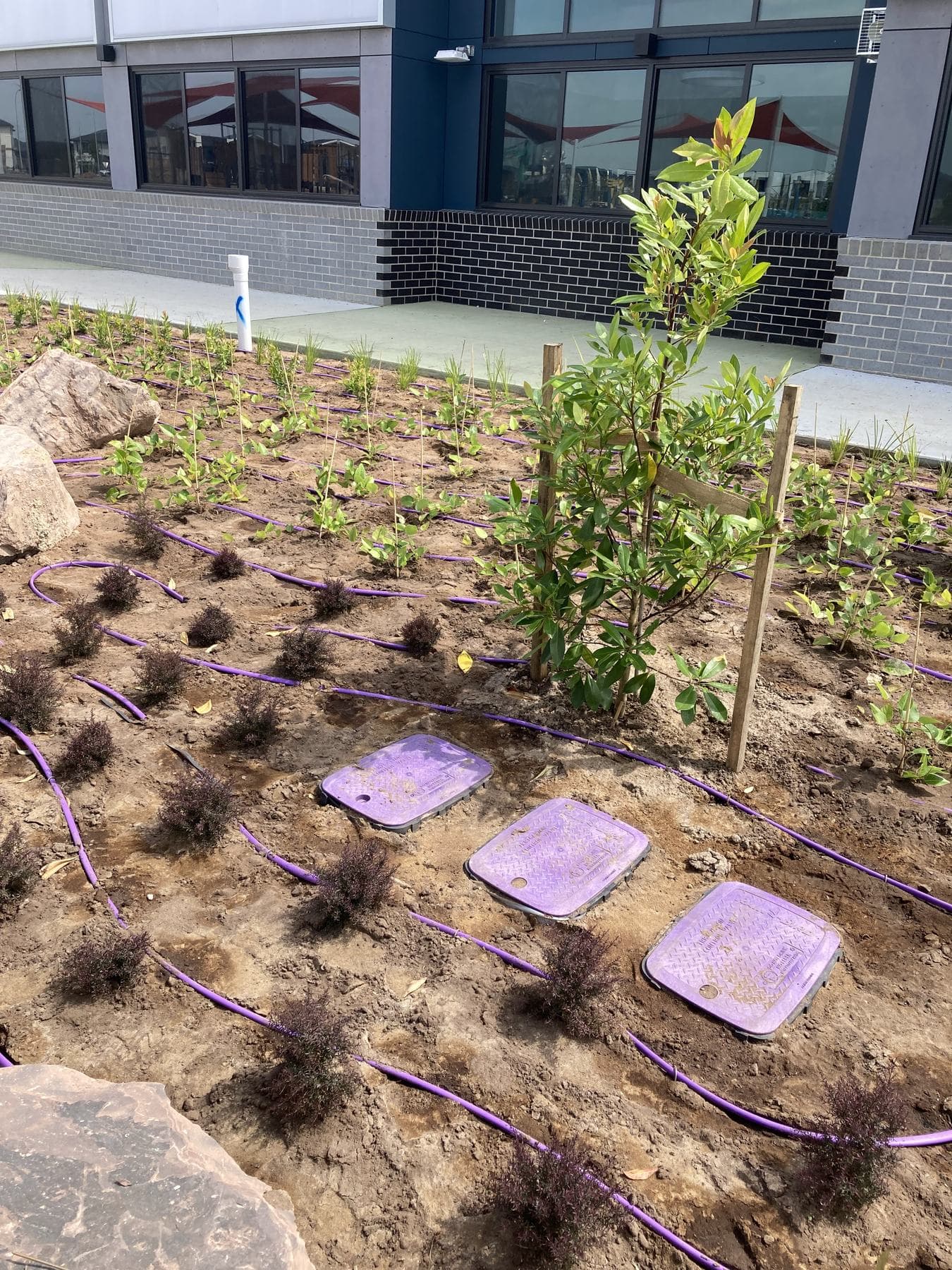 Three accessible valve boxes integrated within a planted school courtyard